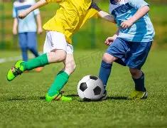 贵州党员干,部网络学习,平台,天博体育平台,天博体育官方网站,天博体育登录入口,天博体育app下载