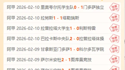 厄瓜多尔与巴西世预赛南美区第15轮战平，卡塞米罗进球，阿利森两红VAR调整