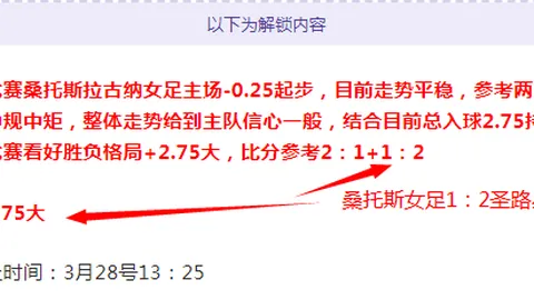 马雷斯卡亮相莱斯特城对诺维奇比赛现场